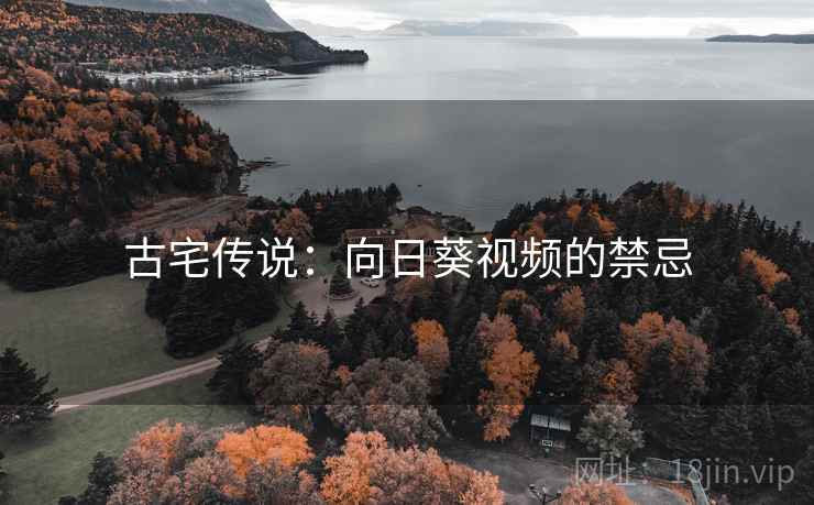 古宅传说：向日葵视频的禁忌