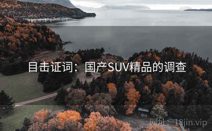 目击证词:国产SUV精品的调查 目击证词:国产SUV精品的调查