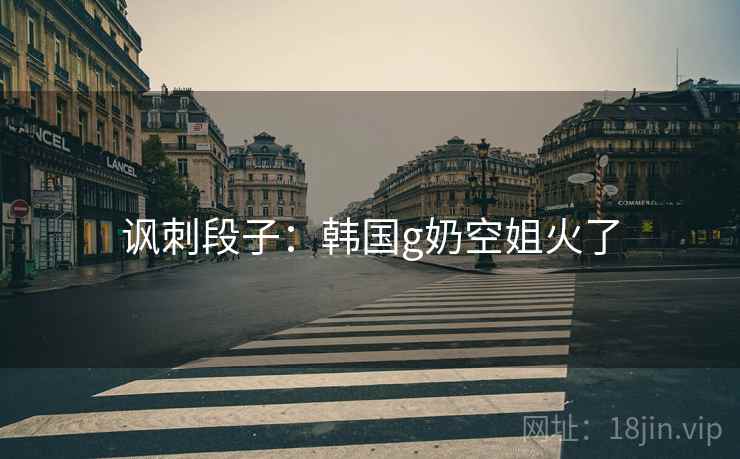 讽刺段子：韩国g奶空姐火了